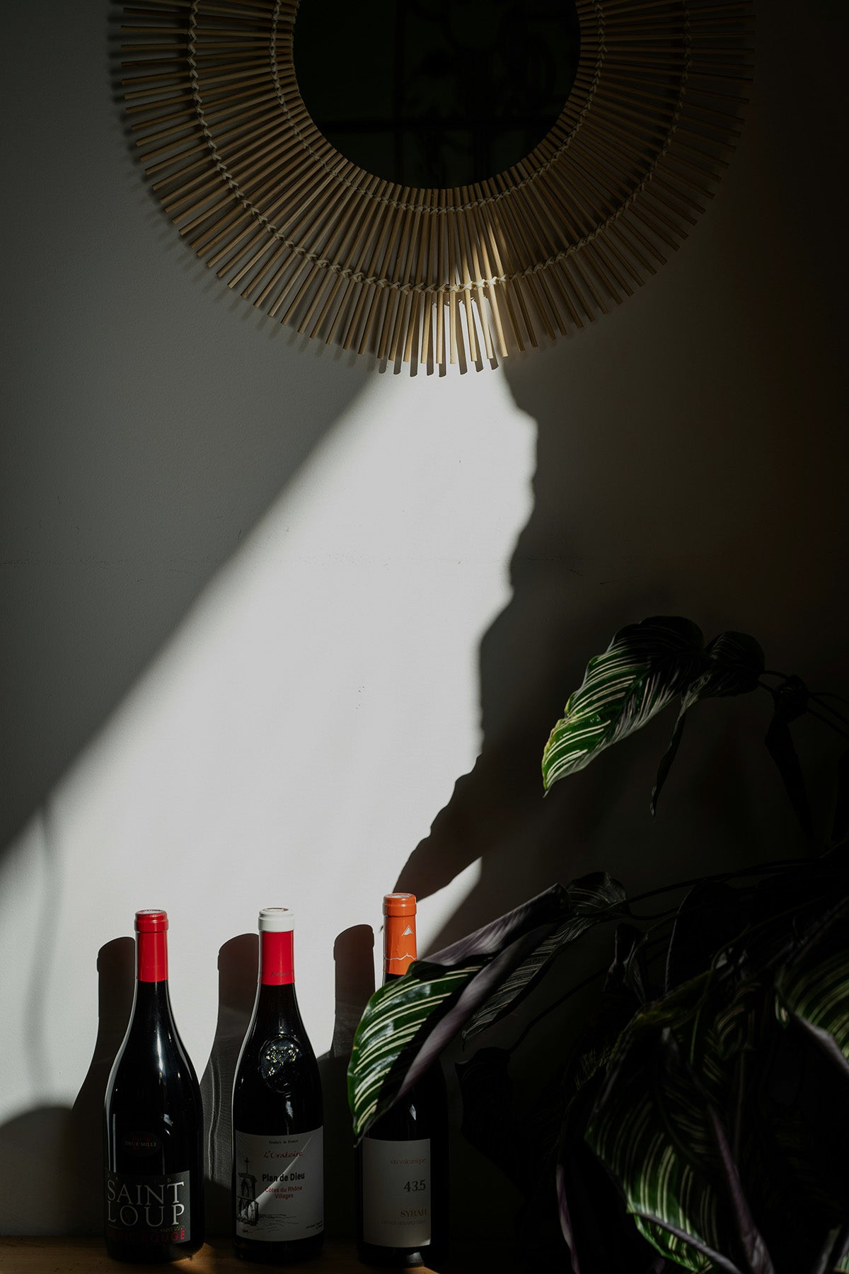 Three wine bottles with red, white, and orange foil caps, dramatic shadow of a plant behind them