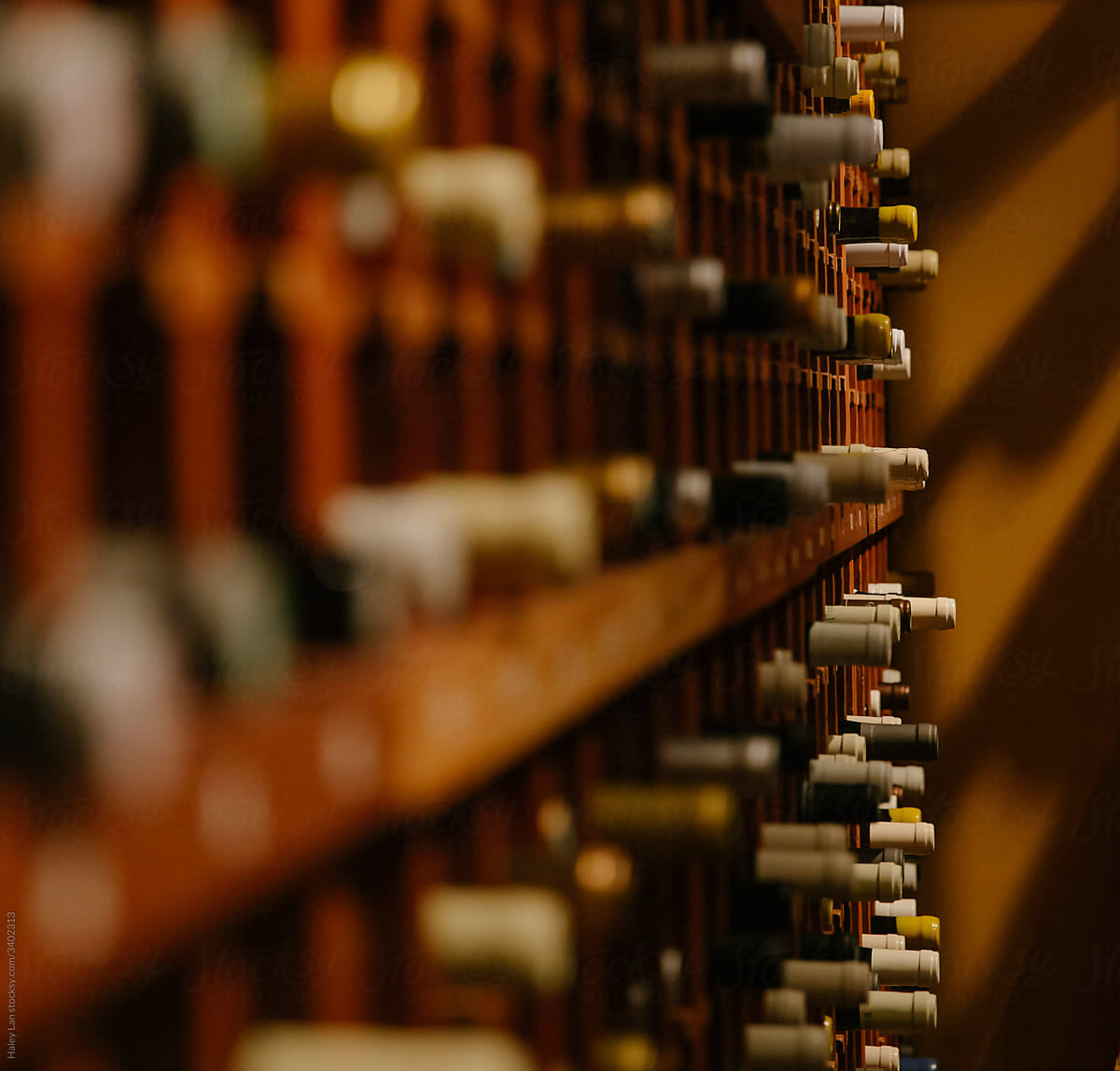 Close-up of wine bottles resting on their sides in a wooden cellar rack